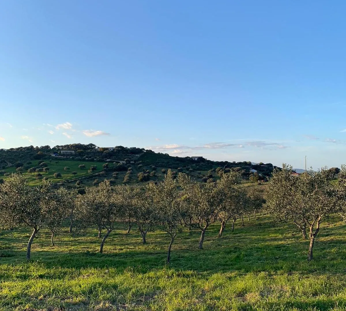 Macciuneddu Country Retreat Golfo Aranci Guest house